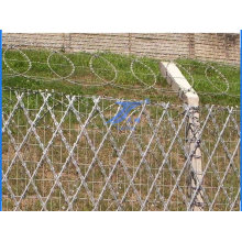High Security Fence Made in China (TS-W09)